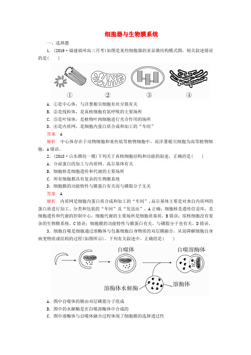 高考生物一轮复习第2单元细胞的结构和物质的输入输出第6讲细胞器与生物膜系统课后作业(含解析)(必修1)