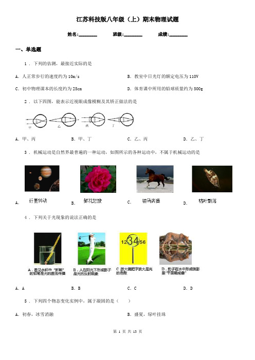 江苏科技版八年级(上)期末物理试题