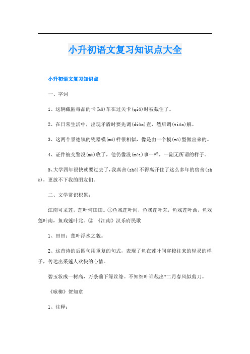 小升初语文复习知识点大全