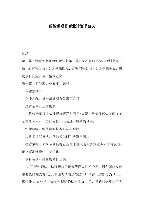 新能源项目商业计划书范文