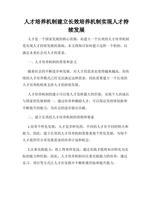 人才培养机制建立长效培养机制实现人才持续发展