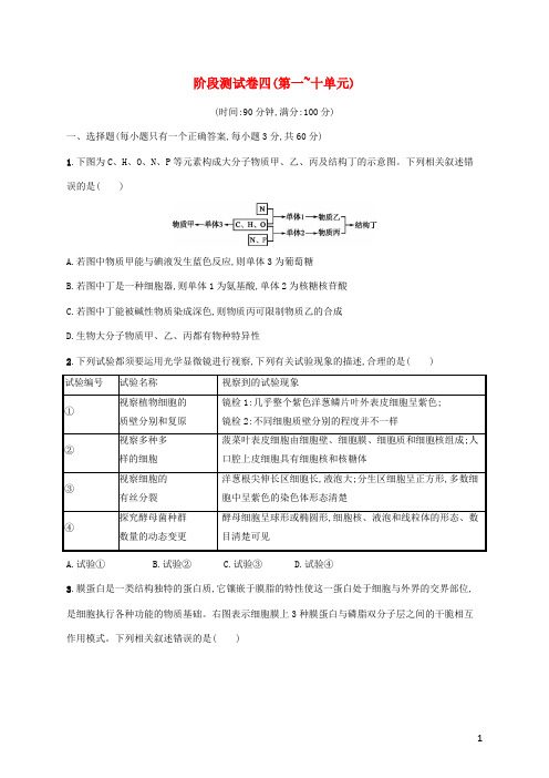 2024年高考生物一轮复习阶段测试卷四第一~十单元含解析新人教版