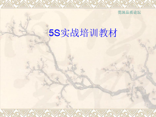 5S的实战培训教材(ppt 45页)