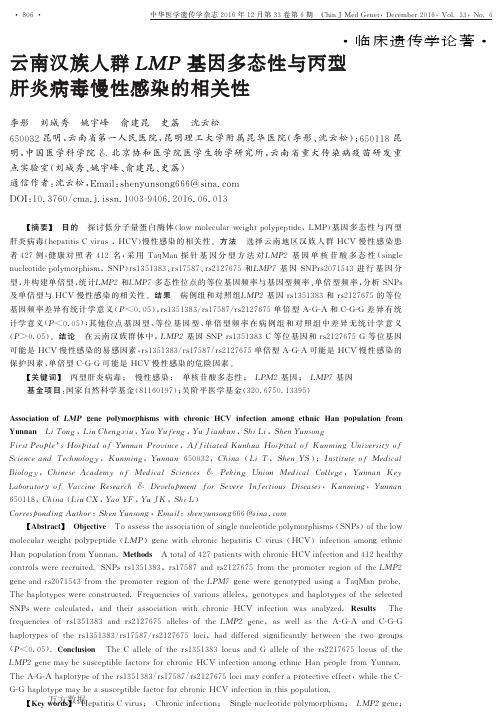 云南汉族人群LMP基因多态性与丙型肝炎病毒慢性感染的相关性解析