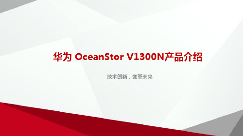 华为 OceanStor V1300N产品介绍