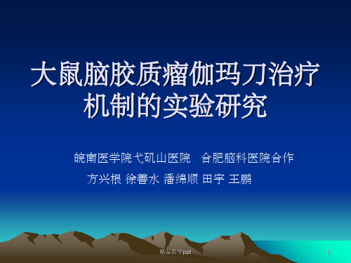 大鼠脑胶质瘤伽玛刀治疗机制的实验研究