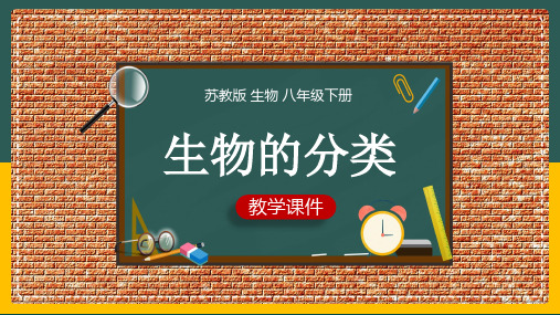 初中生物苏教版八年级上册《第四节生物的分类》课件(完美版)