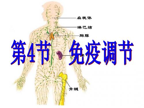 第4节  免疫调节(好)
