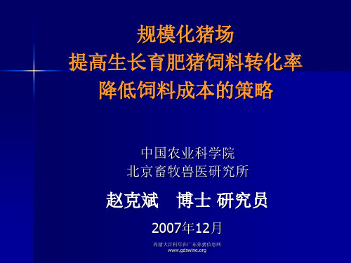 肥猪饲料转化率