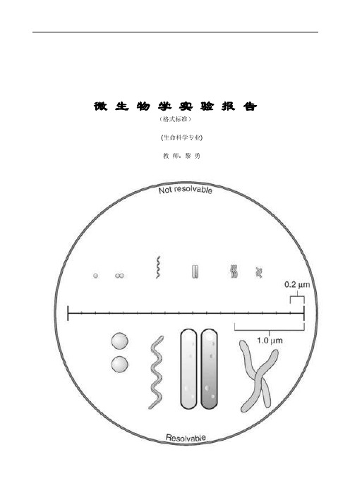 【医学】微生物学实验报告共（16页）