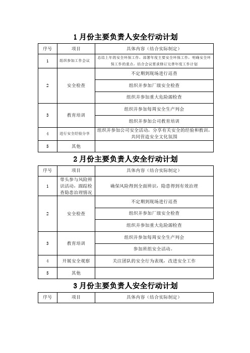 主要负责人月度安全计划