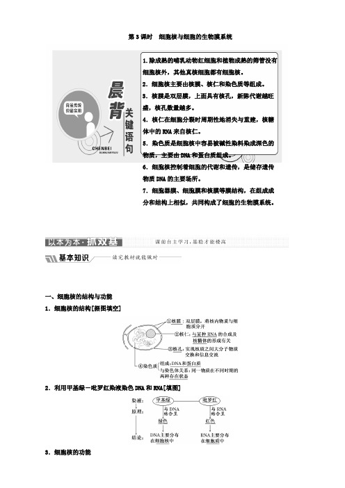 高中生物苏教版高一必修1教学案：第三章_第二节_第3课时_细胞核与细胞的生物膜系统