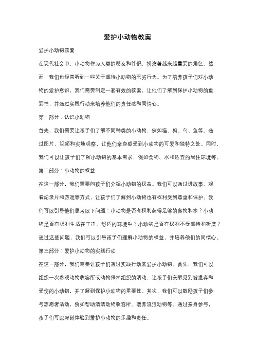 爱护小动物教案