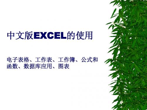 中文版EXCEL的使用