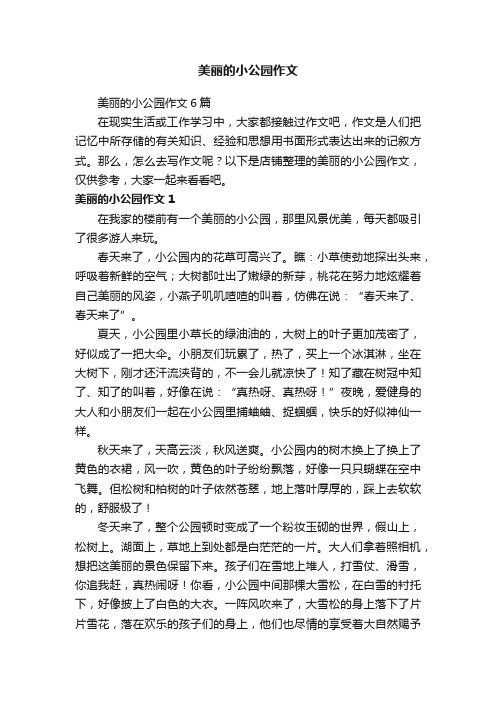 美丽的小公园作文