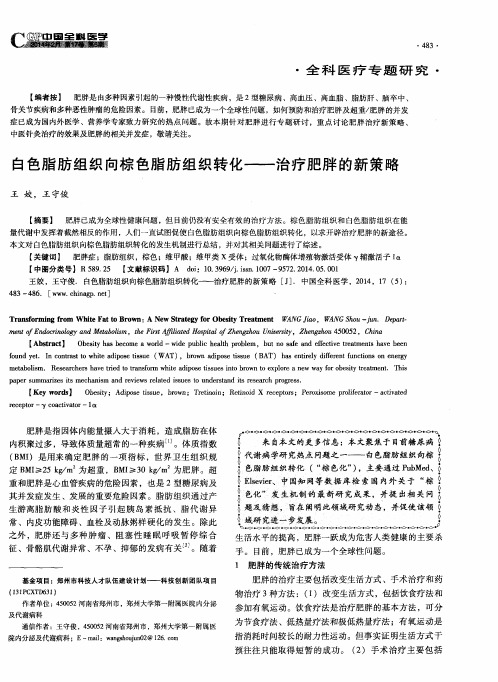 白色脂肪组织向棕色脂肪组织转化——治疗肥胖的新策略