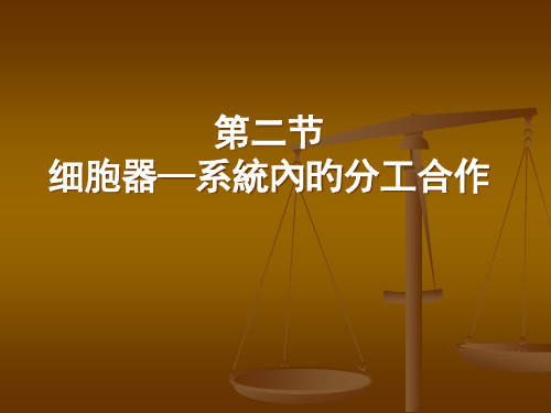 细胞器系统内的分工合作