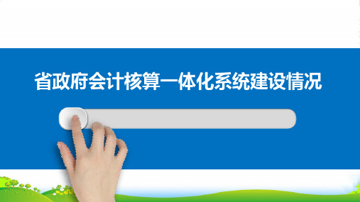 会计核算一体化信息系统建设情况汇报-医学课件