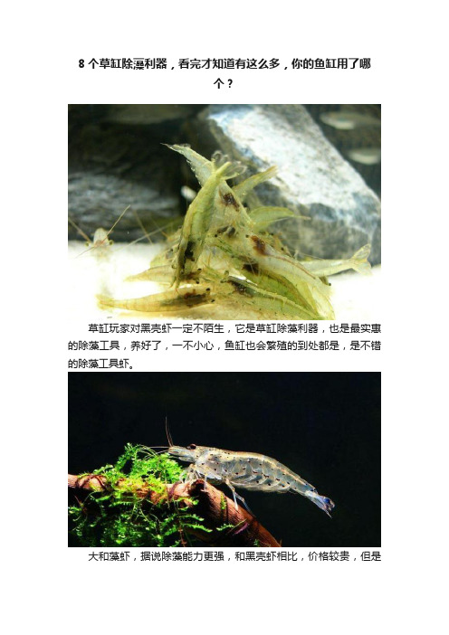 8个草缸除藻利器，看完才知道有这么多，你的鱼缸用了哪个？