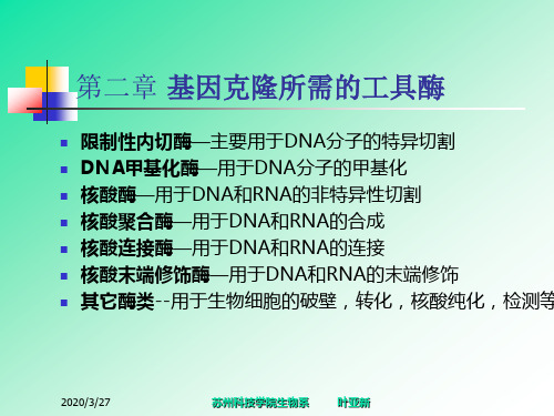 基因工程第二章基因克隆所需的工具酶