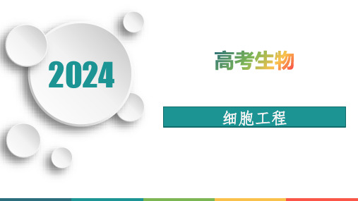 细胞工程-2024年高考生物