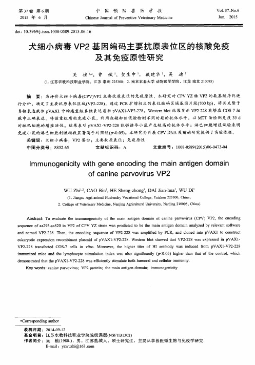 犬细小病毒VP2基因编码主要抗原表位区的核酸免疫及其免疫原性研究