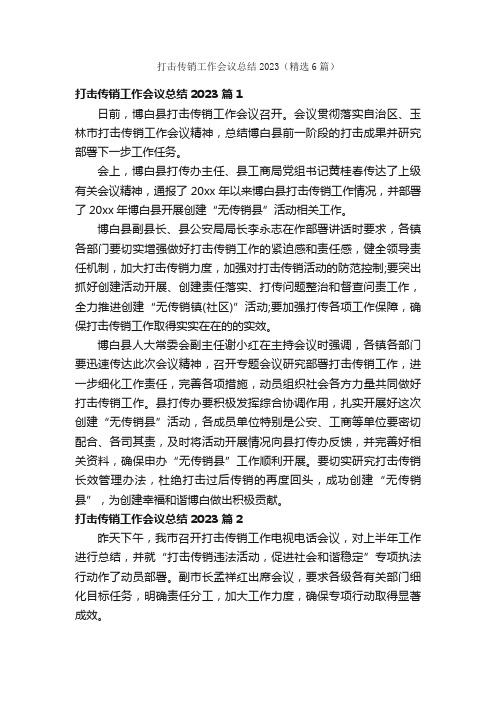 打击传销工作会议总结2023（精选6篇）