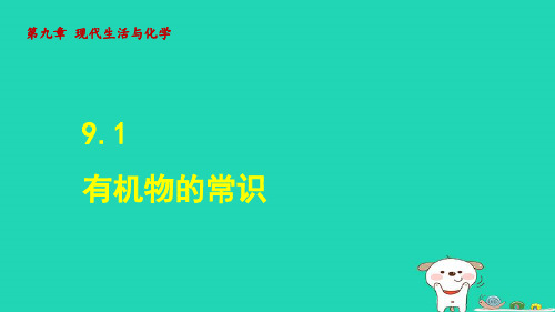 2024九年级化学下册第9章现代生活与化学9.1有机物的常识授课课件科粤版