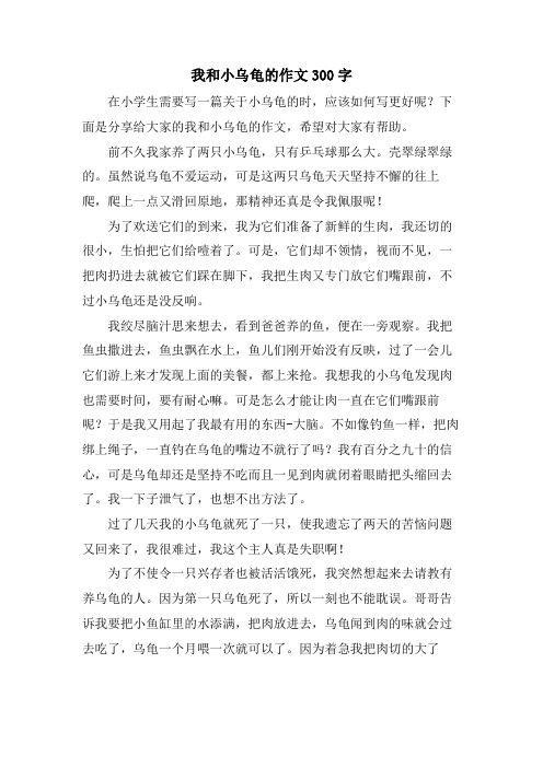 我和小乌龟的作文300字