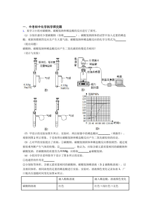 大连全国中考化学探究题的综合中考模拟和真题汇总