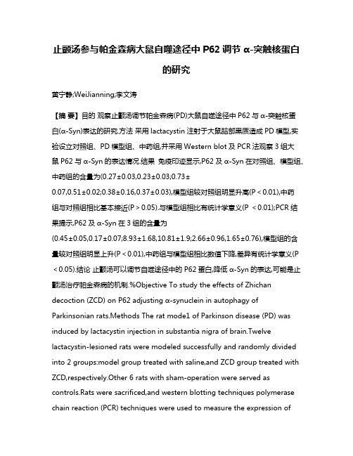 止颤汤参与帕金森病大鼠自噬途径中P62调节α-突触核蛋白的研究