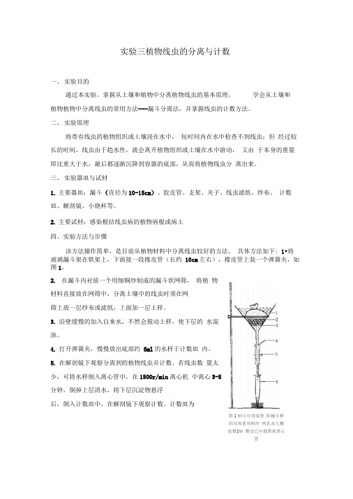 实验三植物线虫的分离与计数