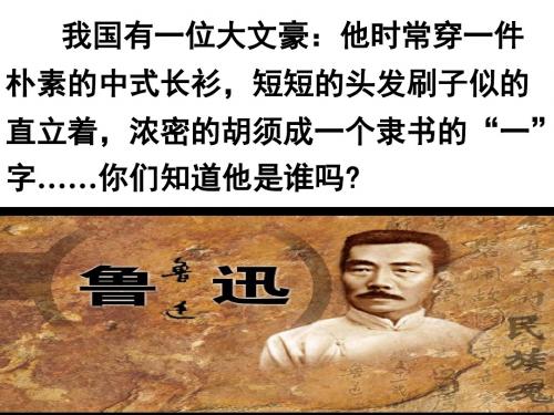 17《少年闰土》课件(修改好的)