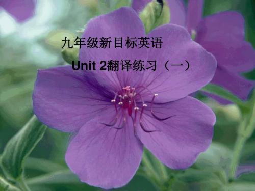 u2翻译答案-(www.)