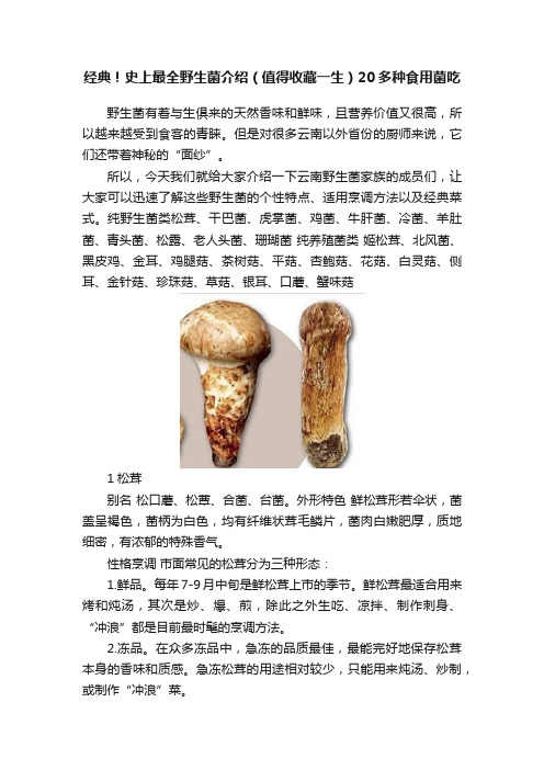 经典！史上最全野生菌介绍（值得收藏一生）20多种食用菌吃