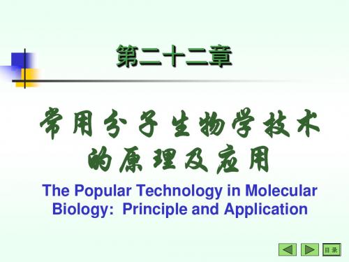 分子生物学常用技术