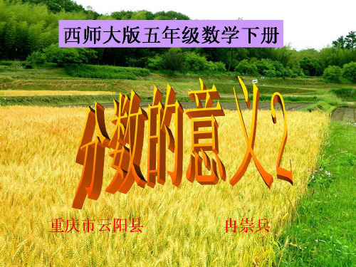 西师大版五年级数学下册 分数的意义2