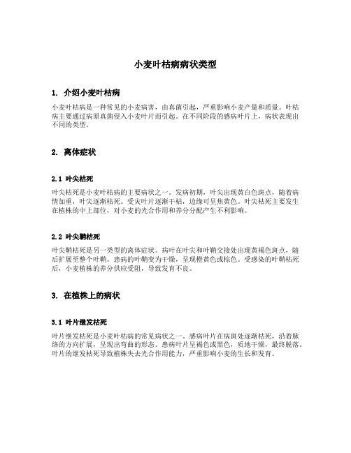 小麦叶枯病病状类型