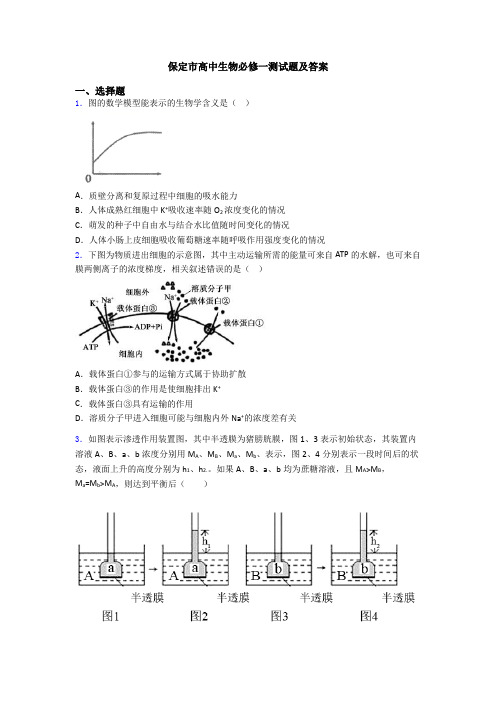 保定市高中生物必修一测试题及答案