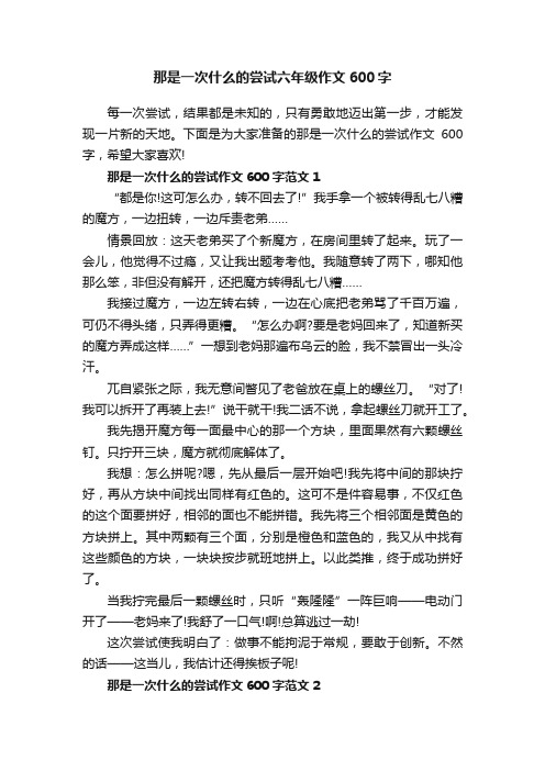 那是一次什么的尝试六年级作文600字