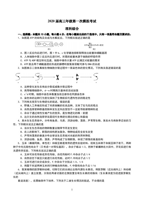 天一大联考2020届高三年级下学期第一次模拟考试理综试题word含解析