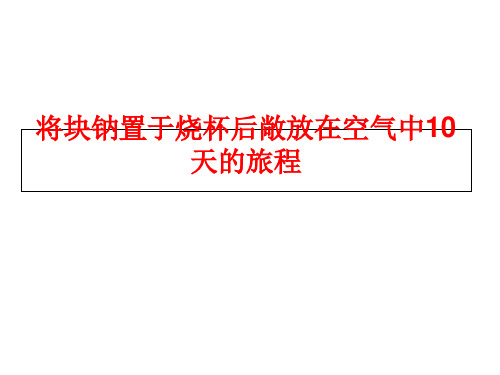 高中化学钠的重要化合物优秀课件