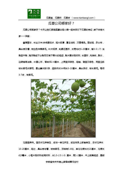 瓜蒌公司哪家好