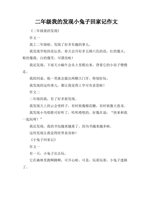 二年级我的发现小兔子回家记作文