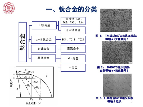 钛合金相变及表征方法共19页
