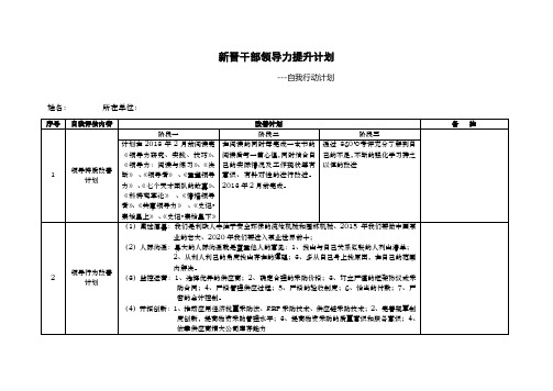 新晋干部领导力提升计划-自我行动计划