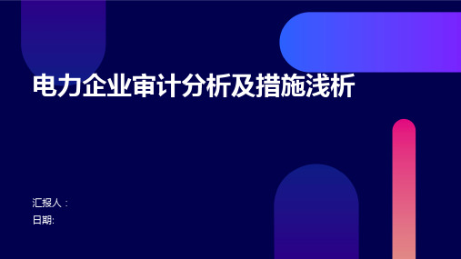 电力企业审计分析及措施浅析