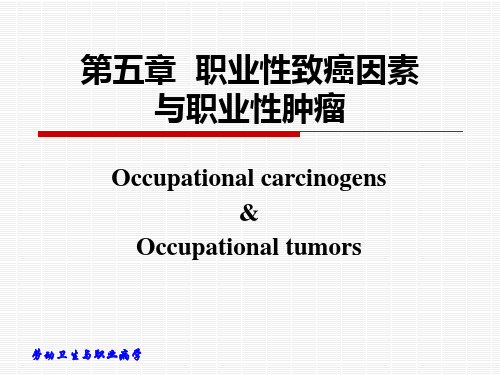 职业性致癌因素与职业性肿瘤11.2