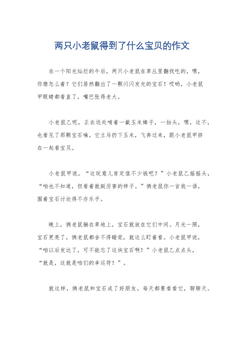 两只小老鼠得到了什么宝贝的作文