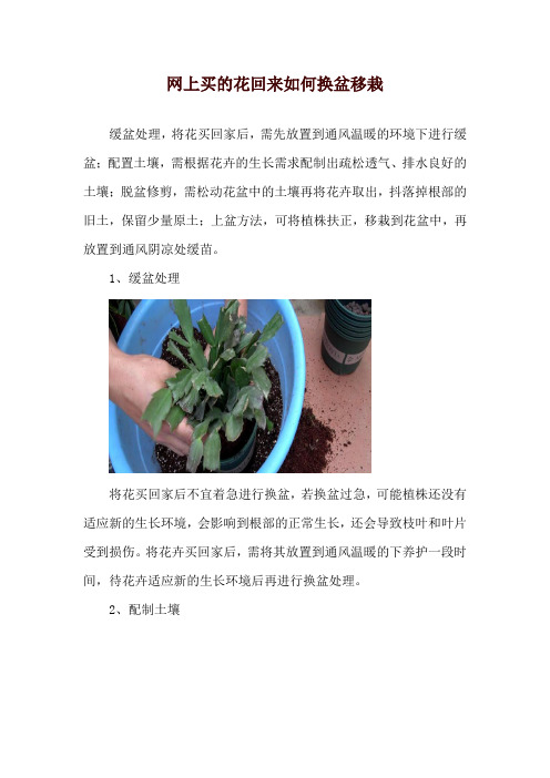 网上买的花回来如何换盆移栽